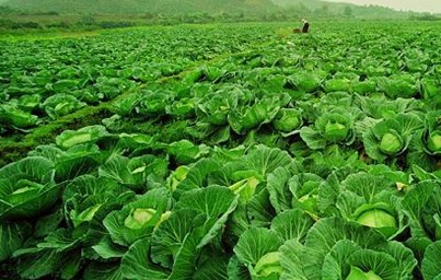 &#67;&#81;&#57;&#30005;&#23376;&#40;&#20013;&#22269;&#41;&#20114;&#21160;&#30334;&#31185;