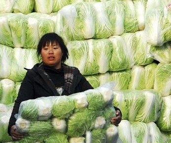&#67;&#81;&#57;&#30005;&#23376;&#40;&#20013;&#22269;&#41;&#20114;&#21160;&#30334;&#31185;